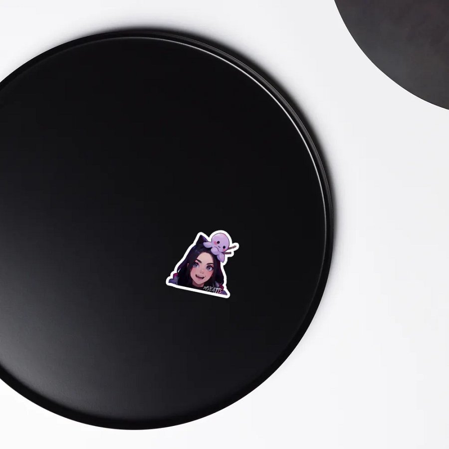 SquidBatt product image (6)