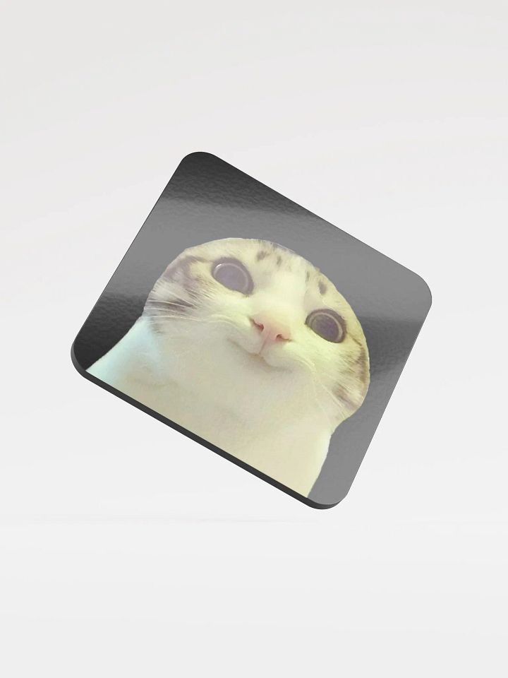 Glossed Cork Coaster: Meme Cats 2 product image (1)