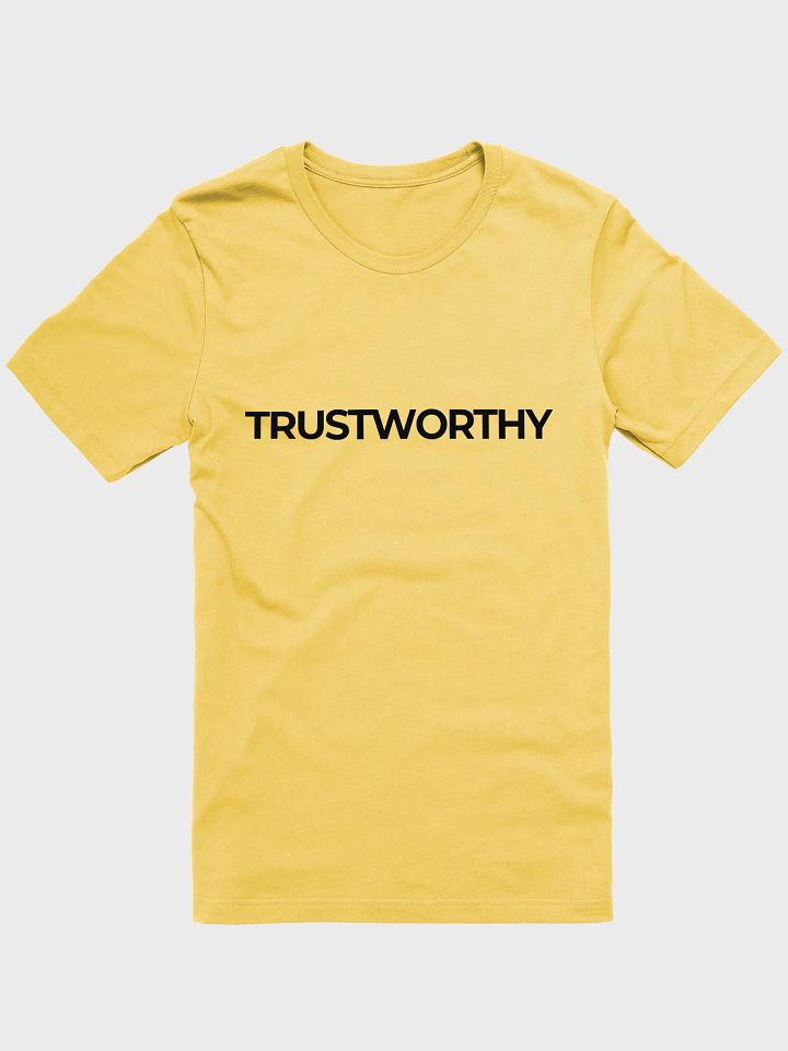 TRUSTWORTHY Human - Spring Shirt product image (1)