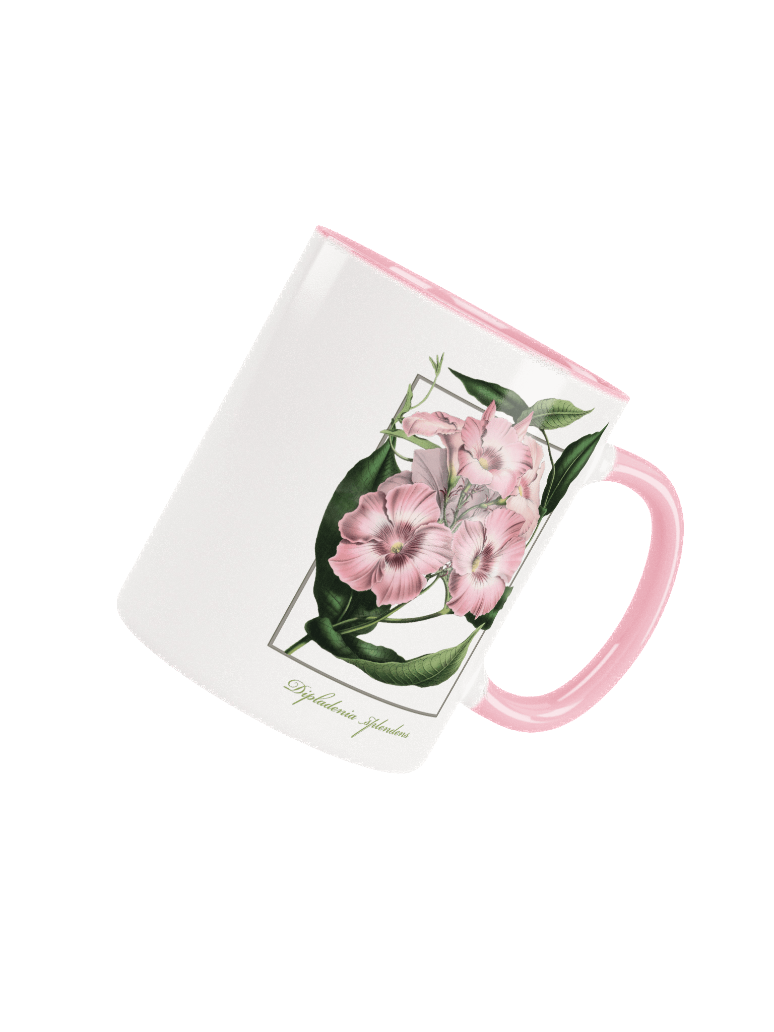 Dipladenia splendens Flower - ceramic mug product image (4)