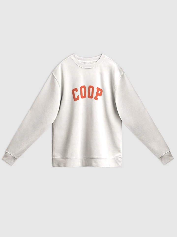 TEAM COOP Vintage Varsity Crew Sweatshirt product image (1)