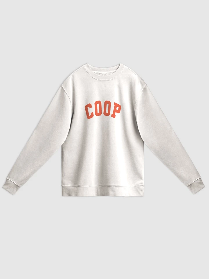 TEAM COOP Vintage Varsity Crew Sweatshirt product image (1)