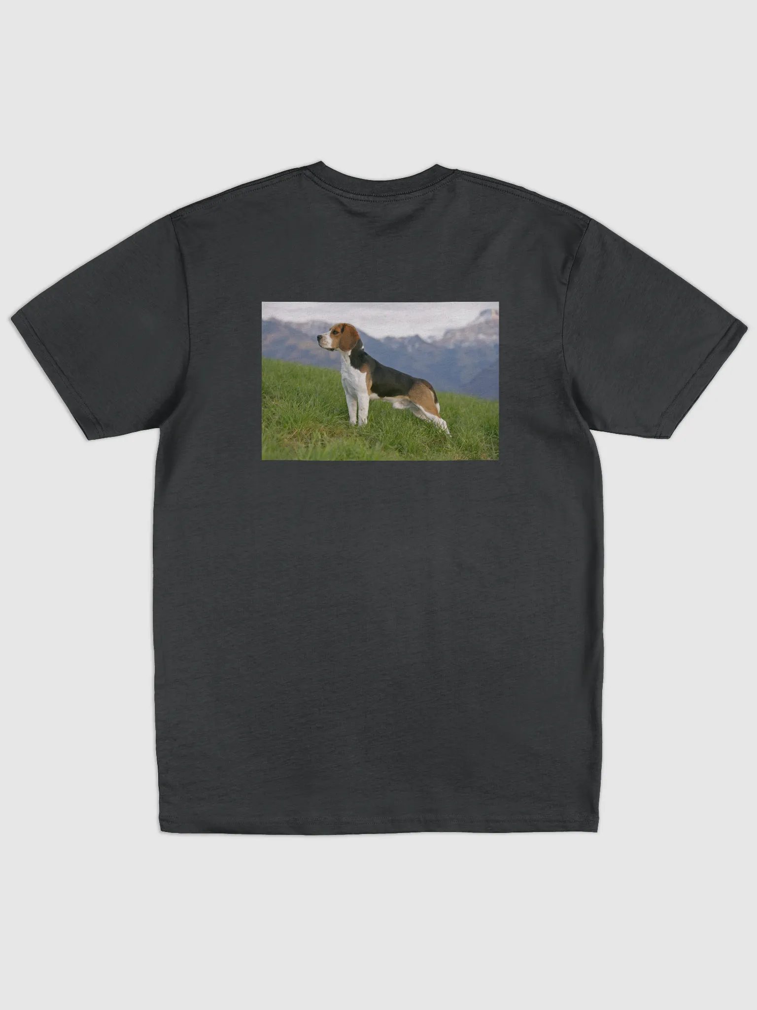 rabbbit dog product image (10)