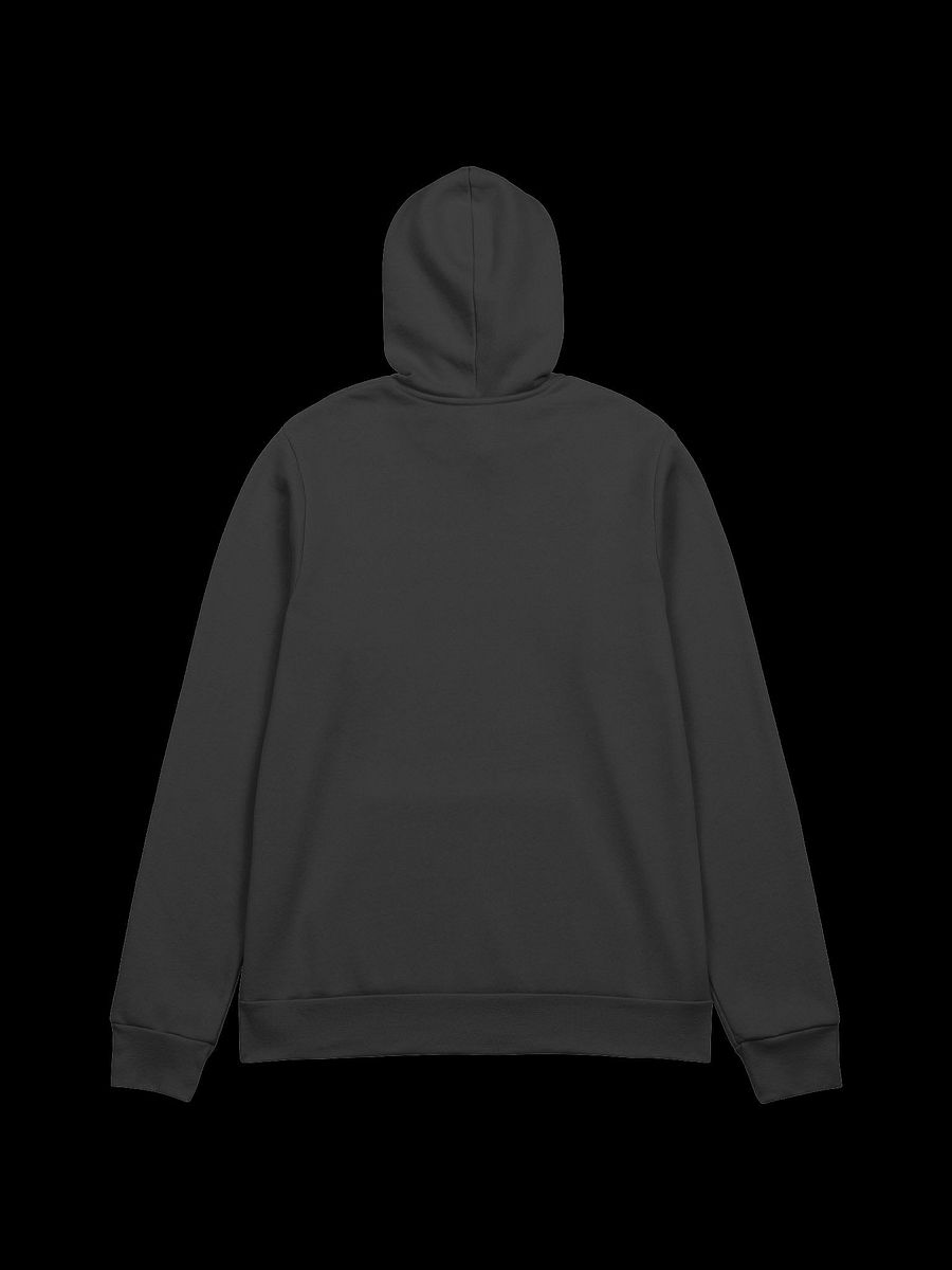 Pest Era Hoodie product image (4)