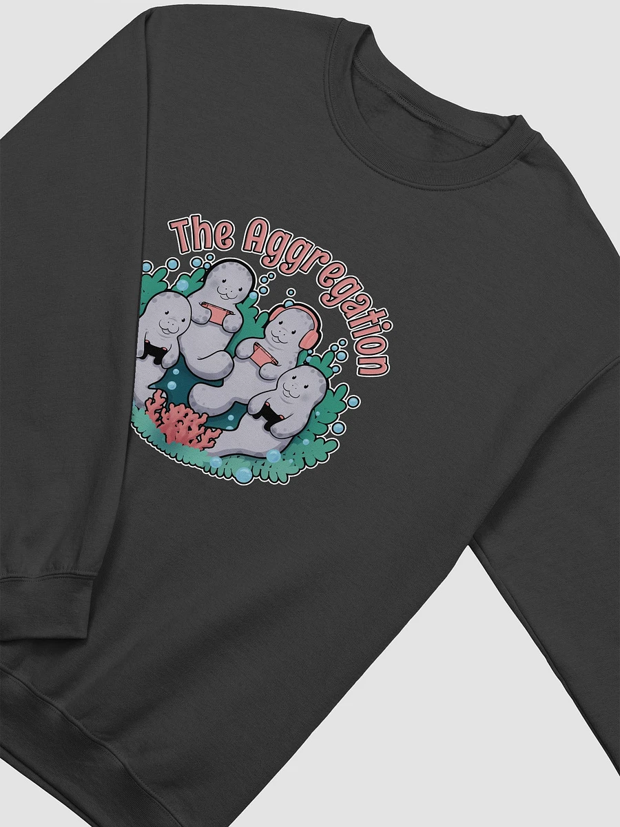 The Aggregation Crew Neck product image (18)