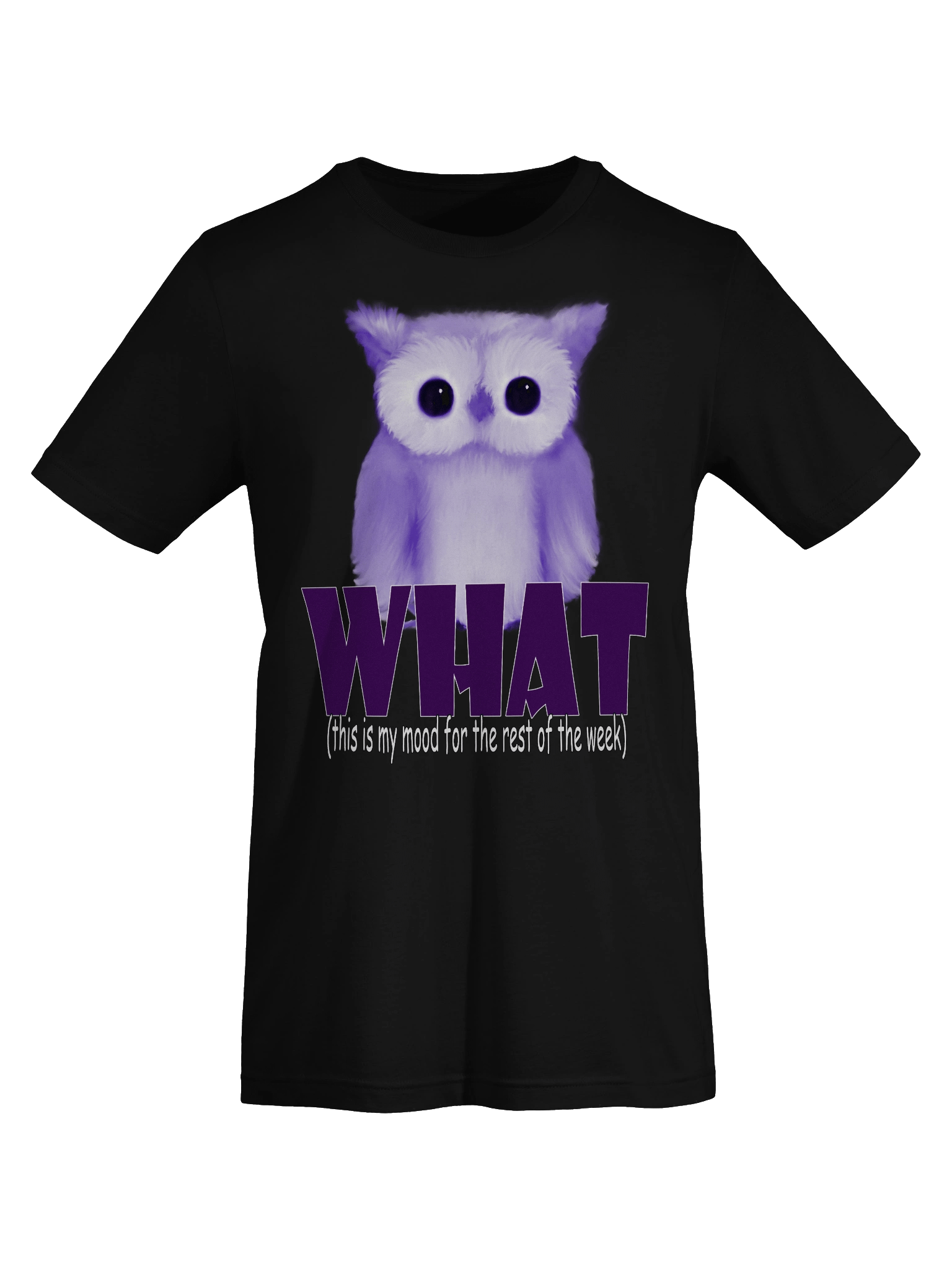 Whimsical Owl Mood T-Shirt product image (7)
