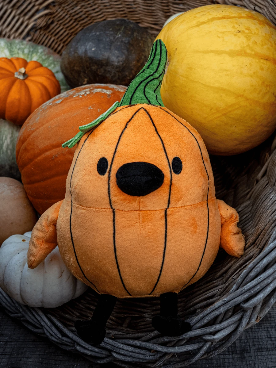 Pumpkin Doodle product image (2)