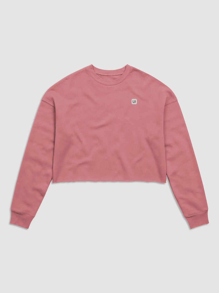HeroUI Pink Hoddie product image (1)