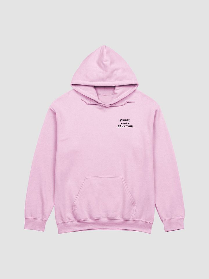 FUNNY *and* SENSITIVE (sm. design) classic hoodie product image (38)