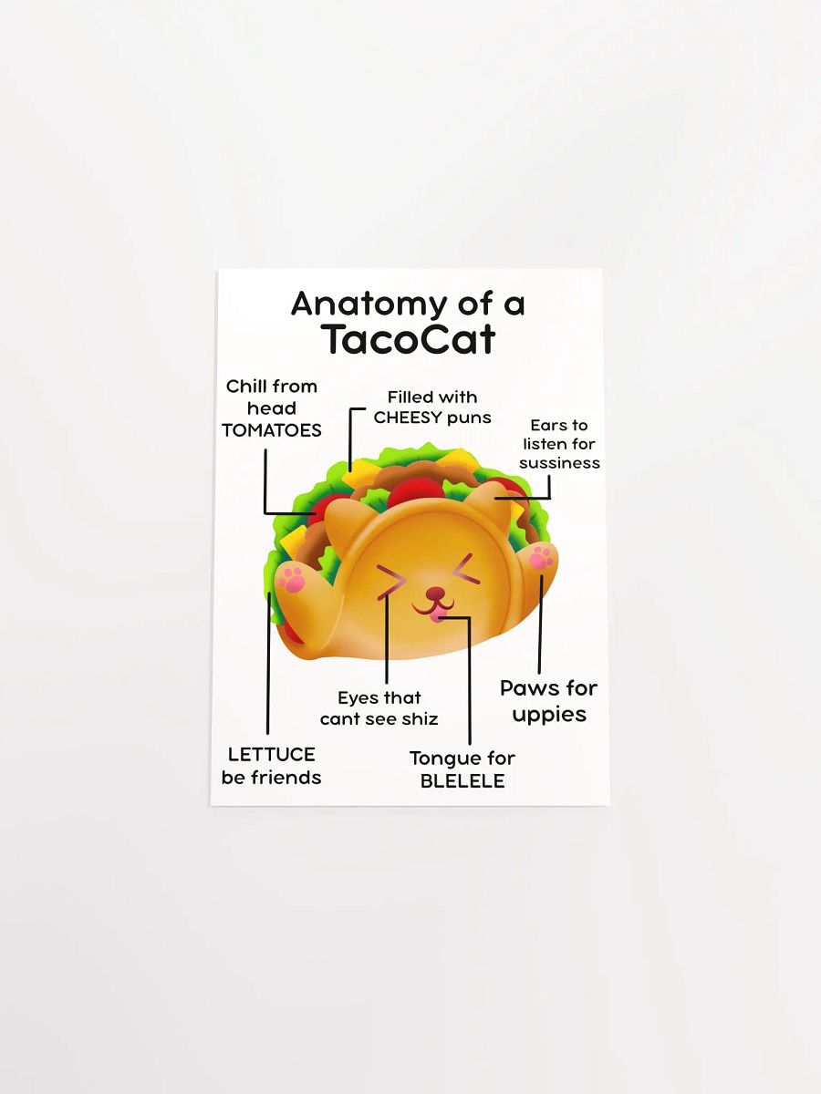TacoCat Anatomy Poster product image (50)