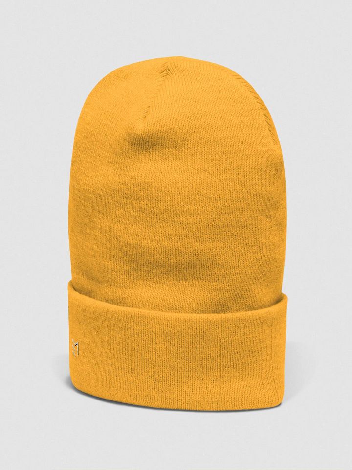 EM \\ Cuffed Beanie product image (22)