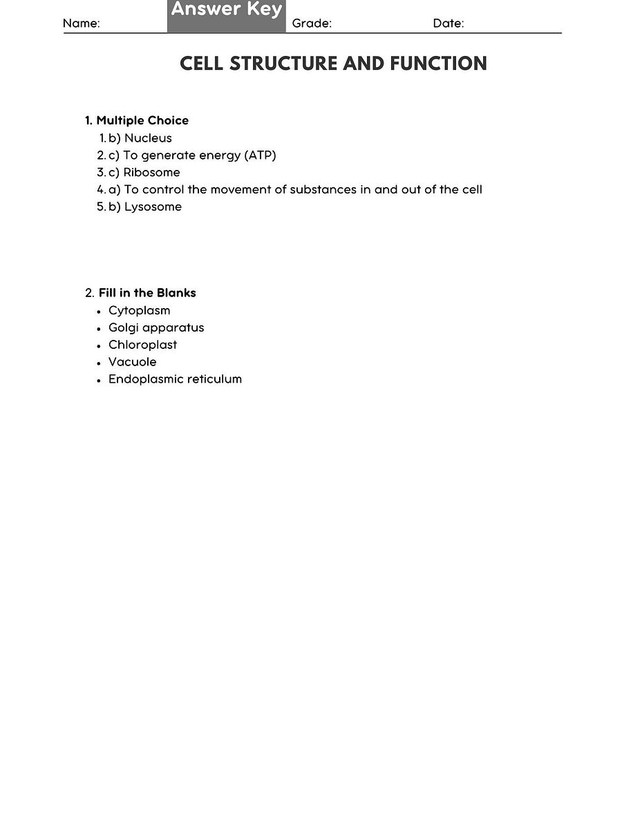 Cell Structure & Function Worksheet - Biology Activity product image (2)