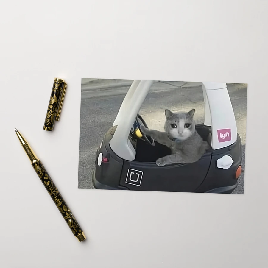 Greening Card: Meme Cats driving product image (26)