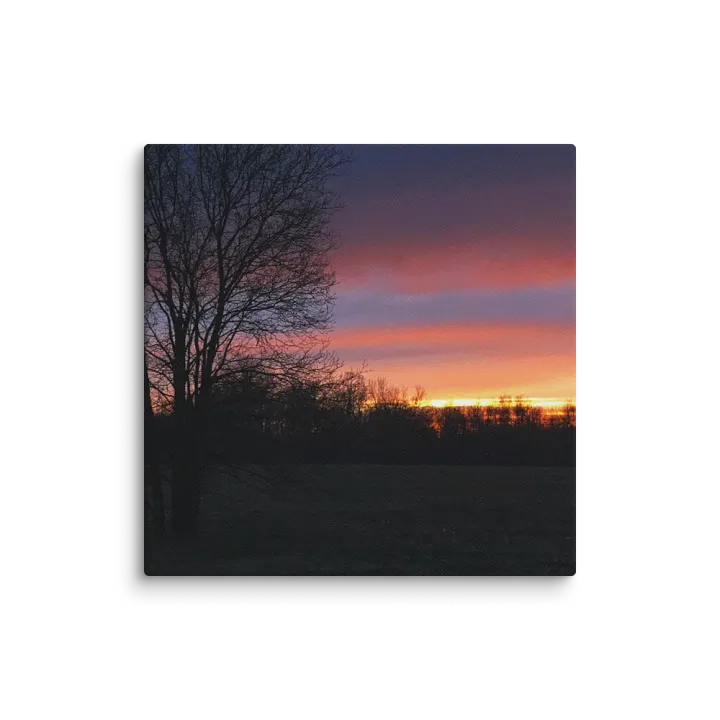Beauty in the Dusk Canvas product image (1)