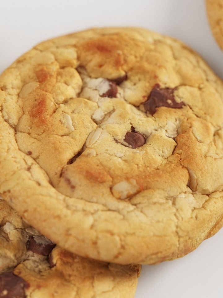 Vanilla Cookie - 3D Scan product image (2)