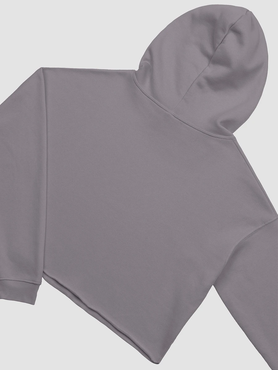 Vaporbee fleece crop hoodie product image (5)
