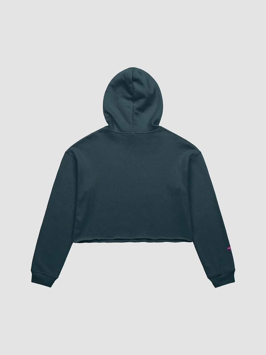 Post a Bridge Crop Top Hoodie product image (2)