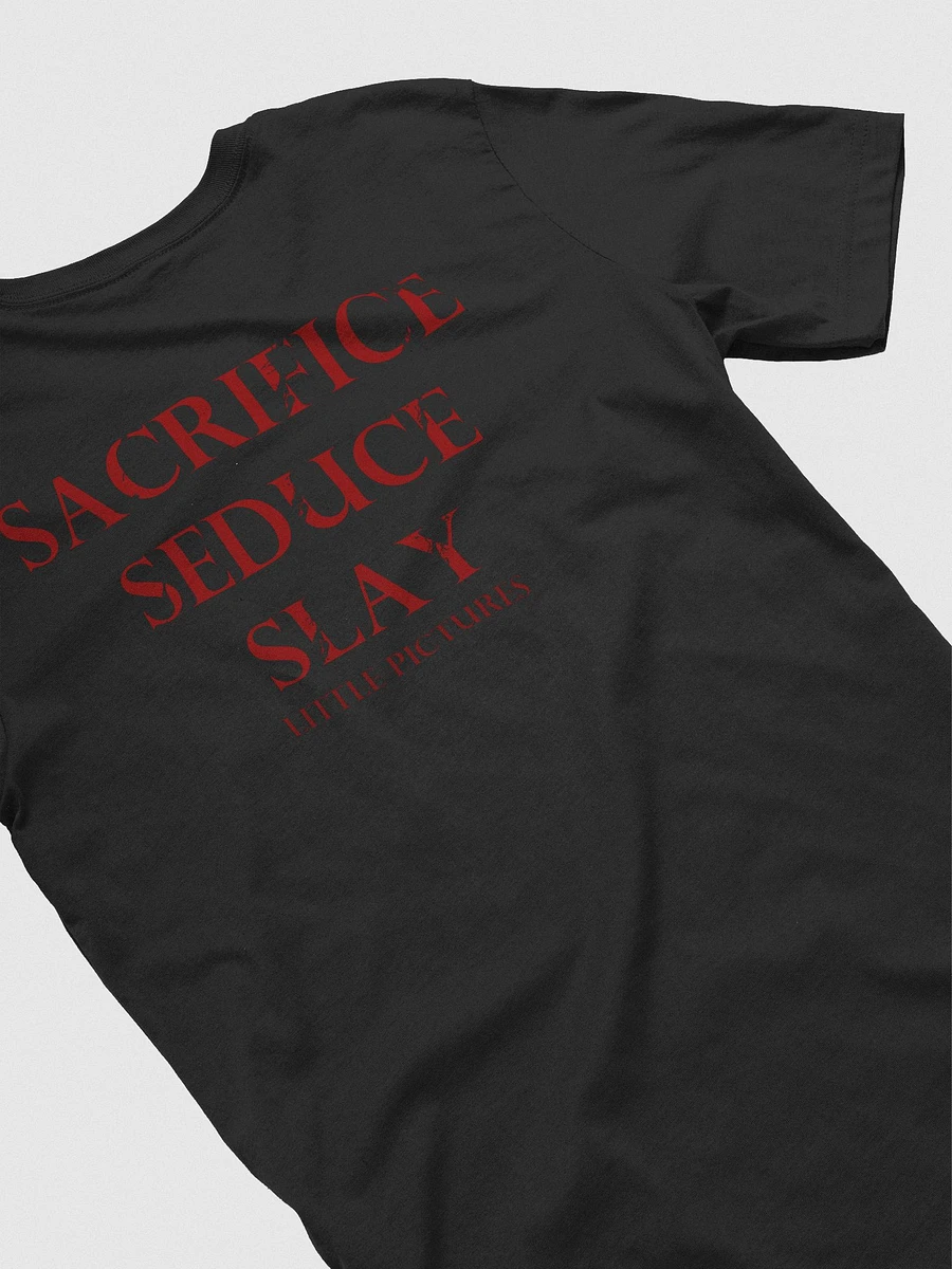 Spooky Sacrifice T-Shirt [Front & Back Designs] product image (40)