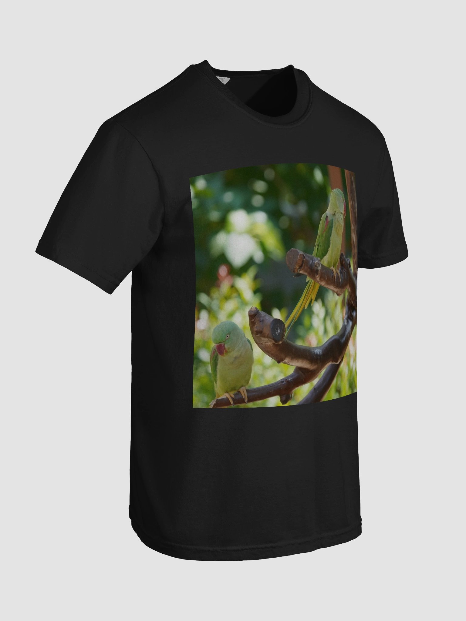 Parrot Perch Heavyweight Tee product image (7)
