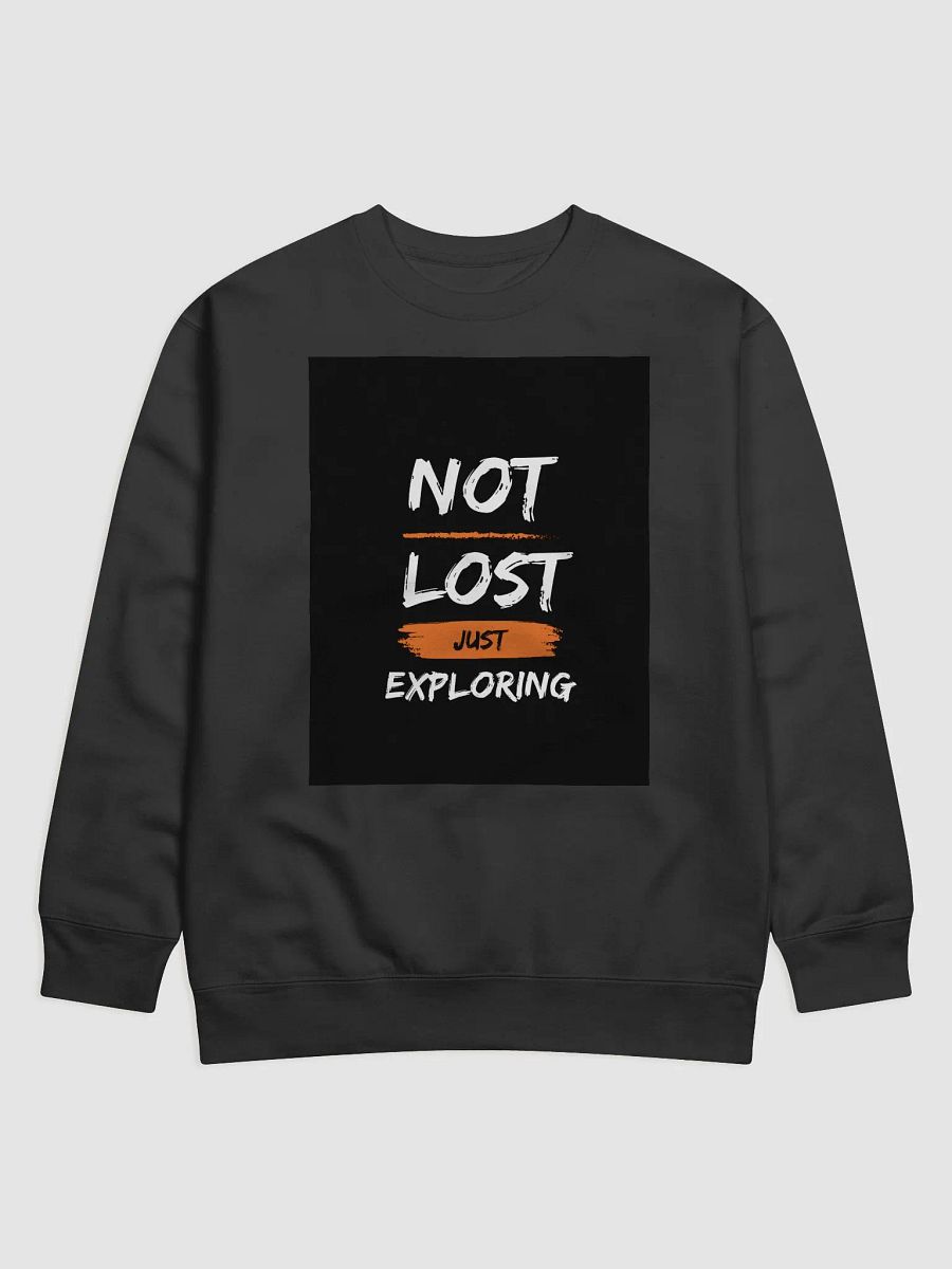 Not Lost Just Exploring Premium Sweatshirt product image (1)