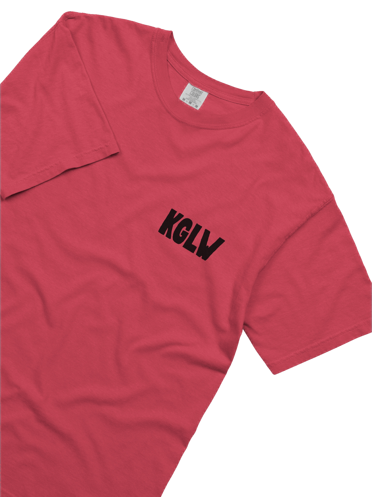 KING GIZZARD US SUMMER TOUR 2025 T-SHIRT product image (4)