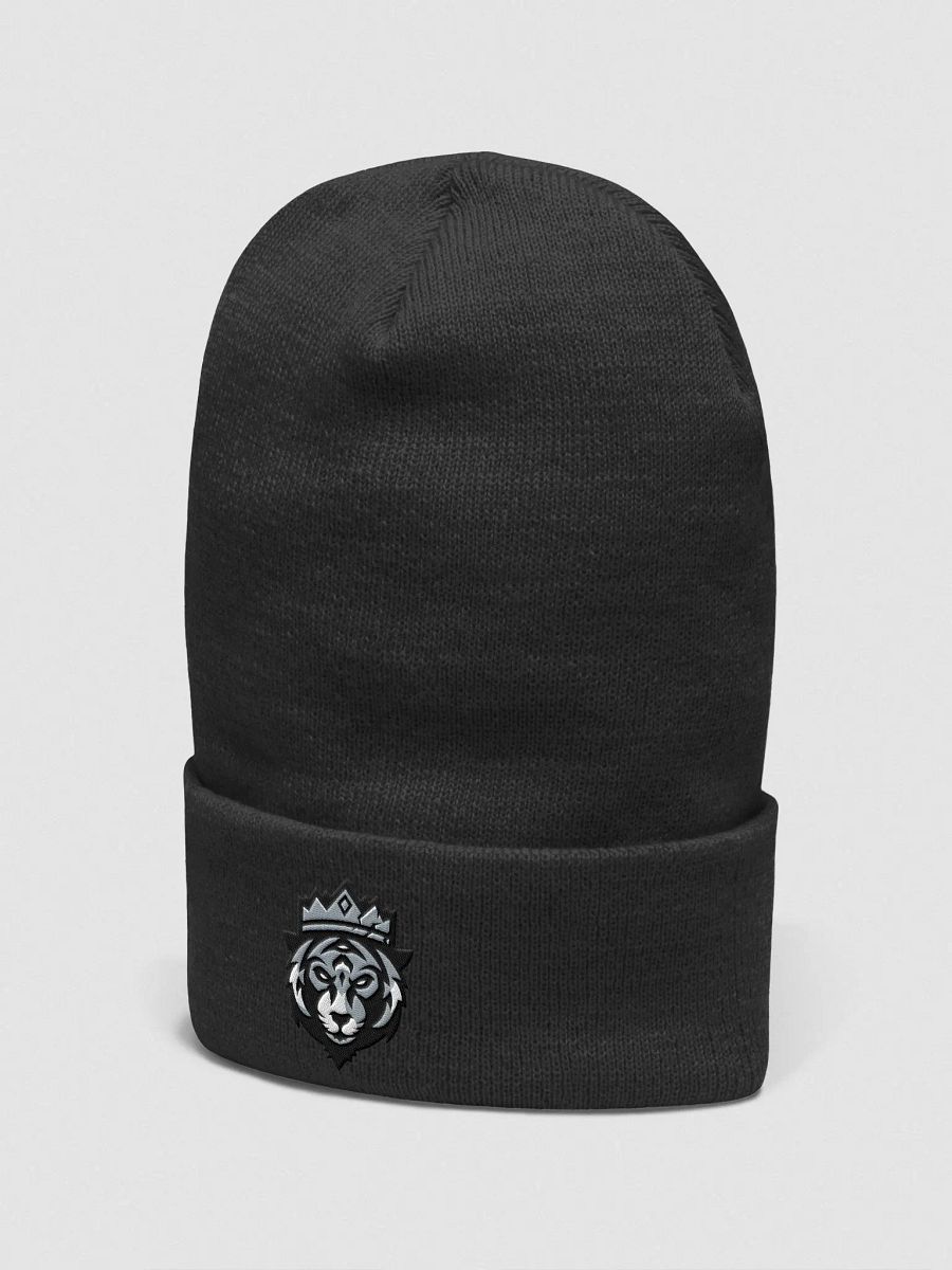 PartiallyRoyal Stealth Embroidered Beanie product image (3)