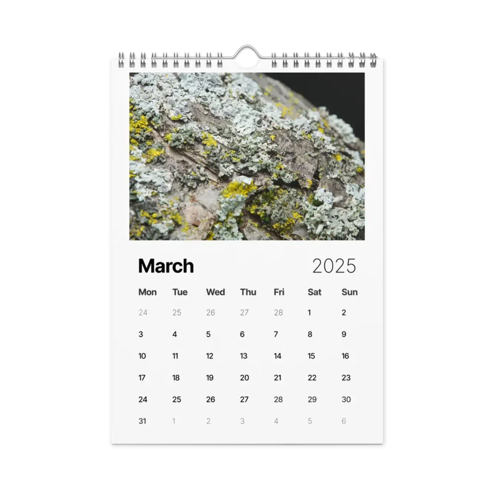Likin' Lichen 2025 Wall Calendar product image (4)