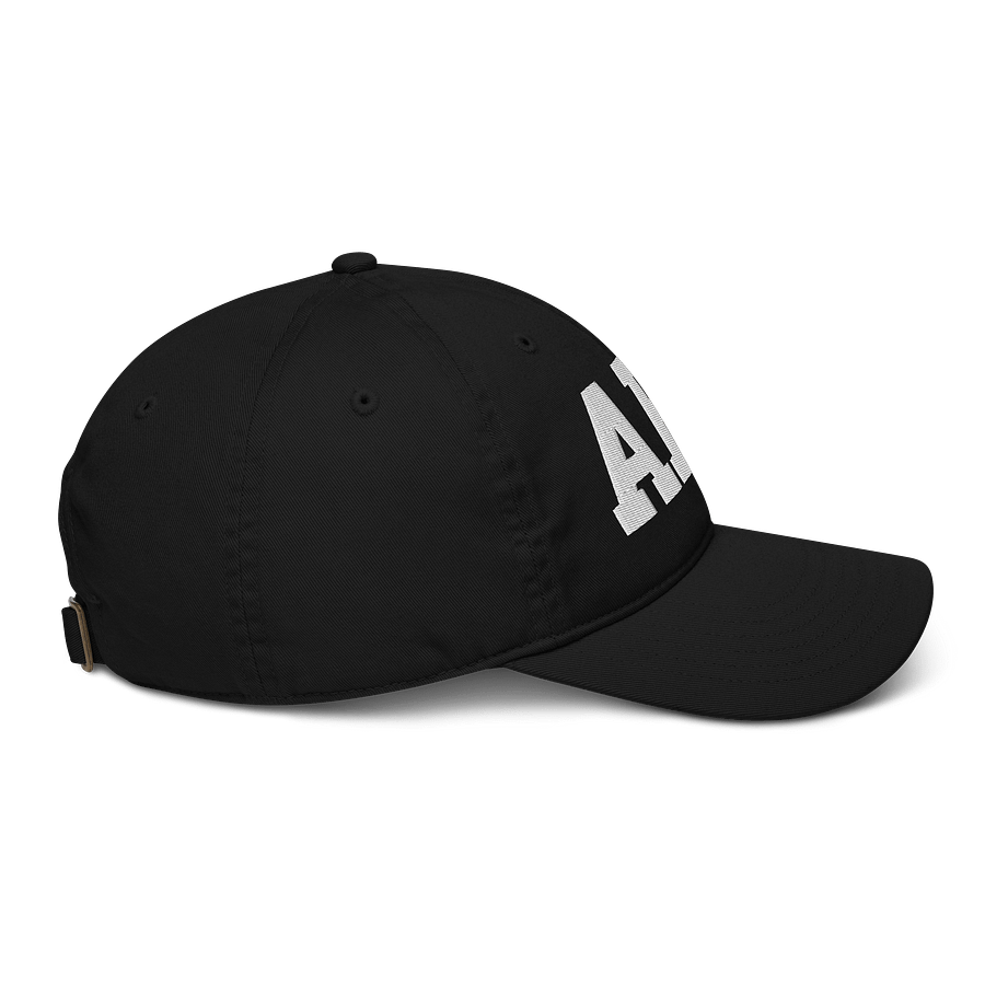AFA Organic Dad Hat product image (8)