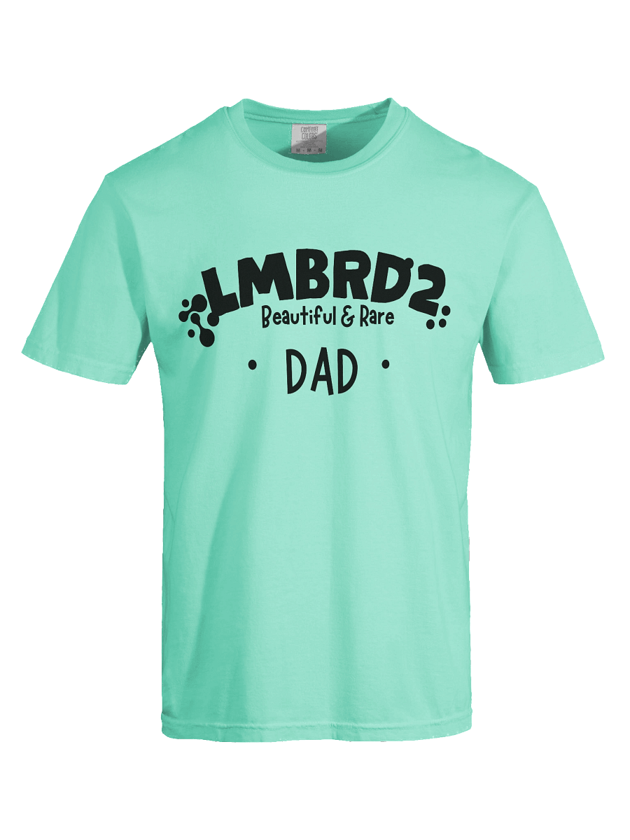 LMBRD2 Comfort T-Shirt -DAD product image (1)