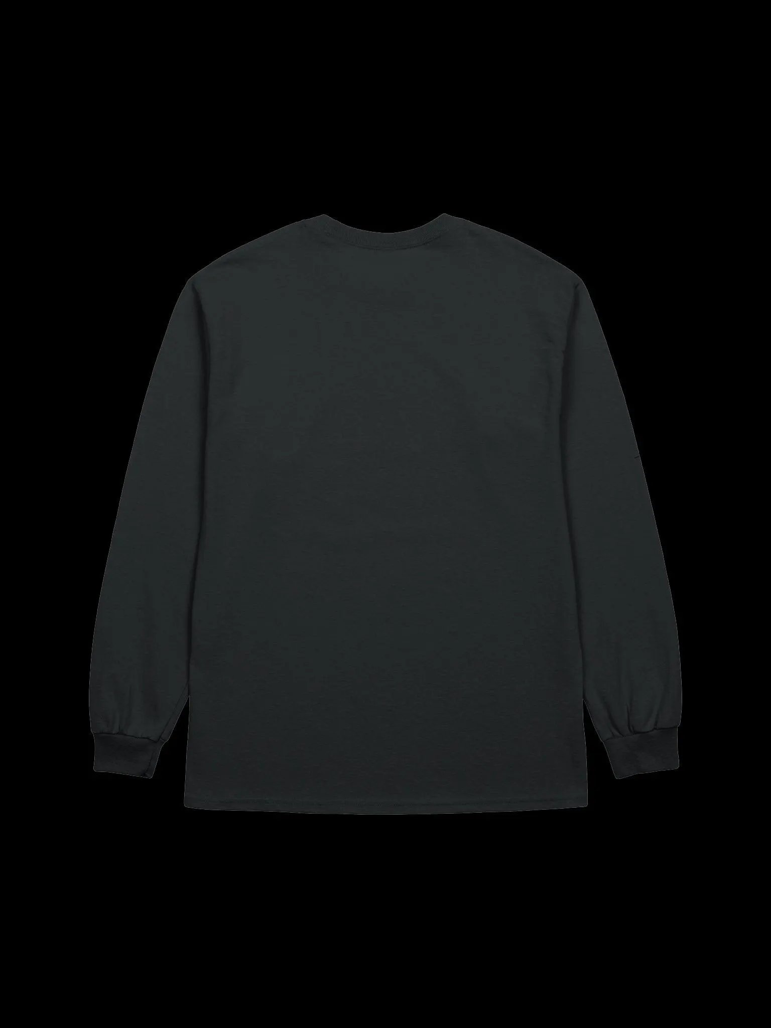 WSL Long sleeve shirt product image (2)
