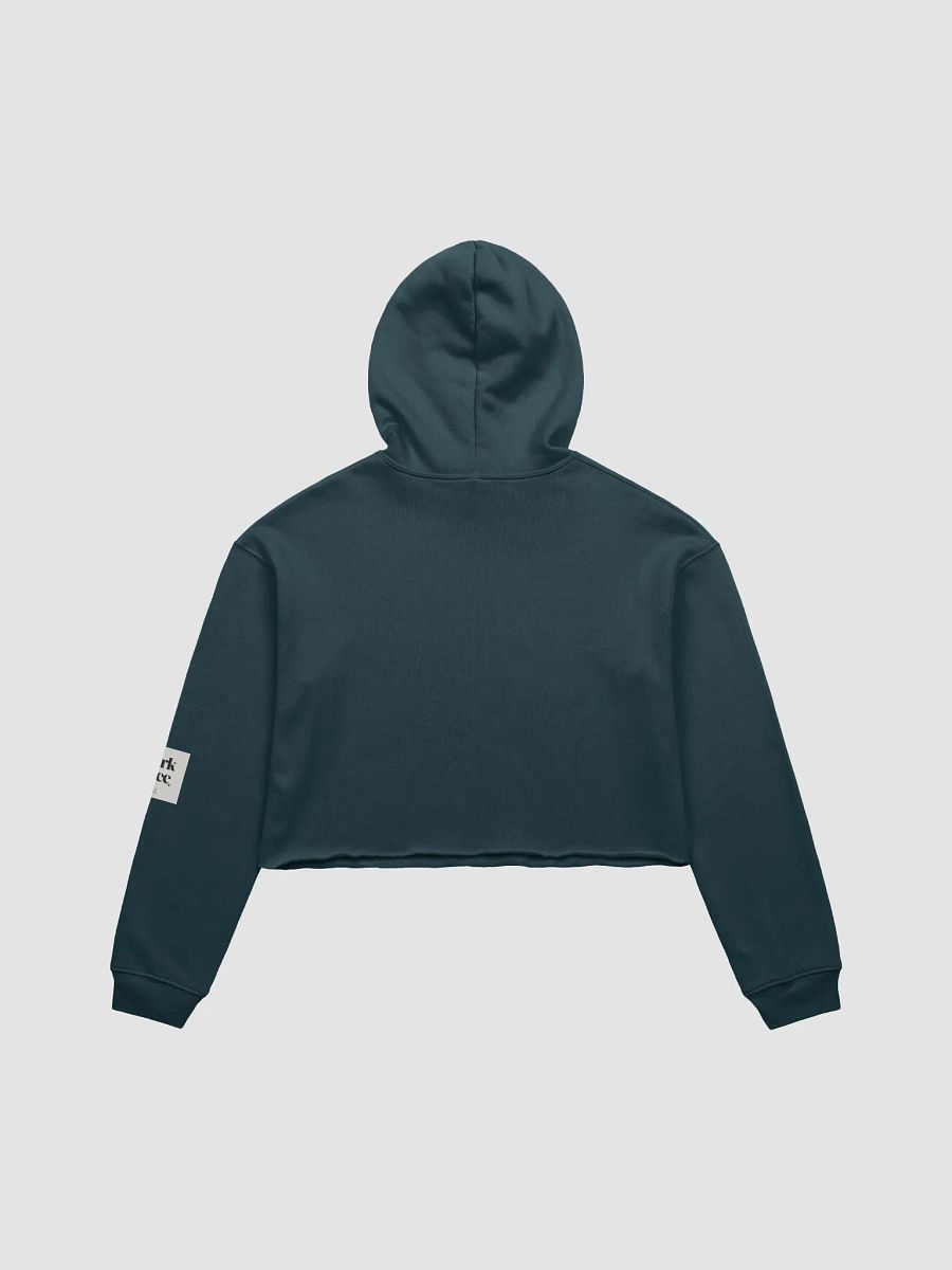 Diabolical Grad 1 Cropped Hoodie product image (2)