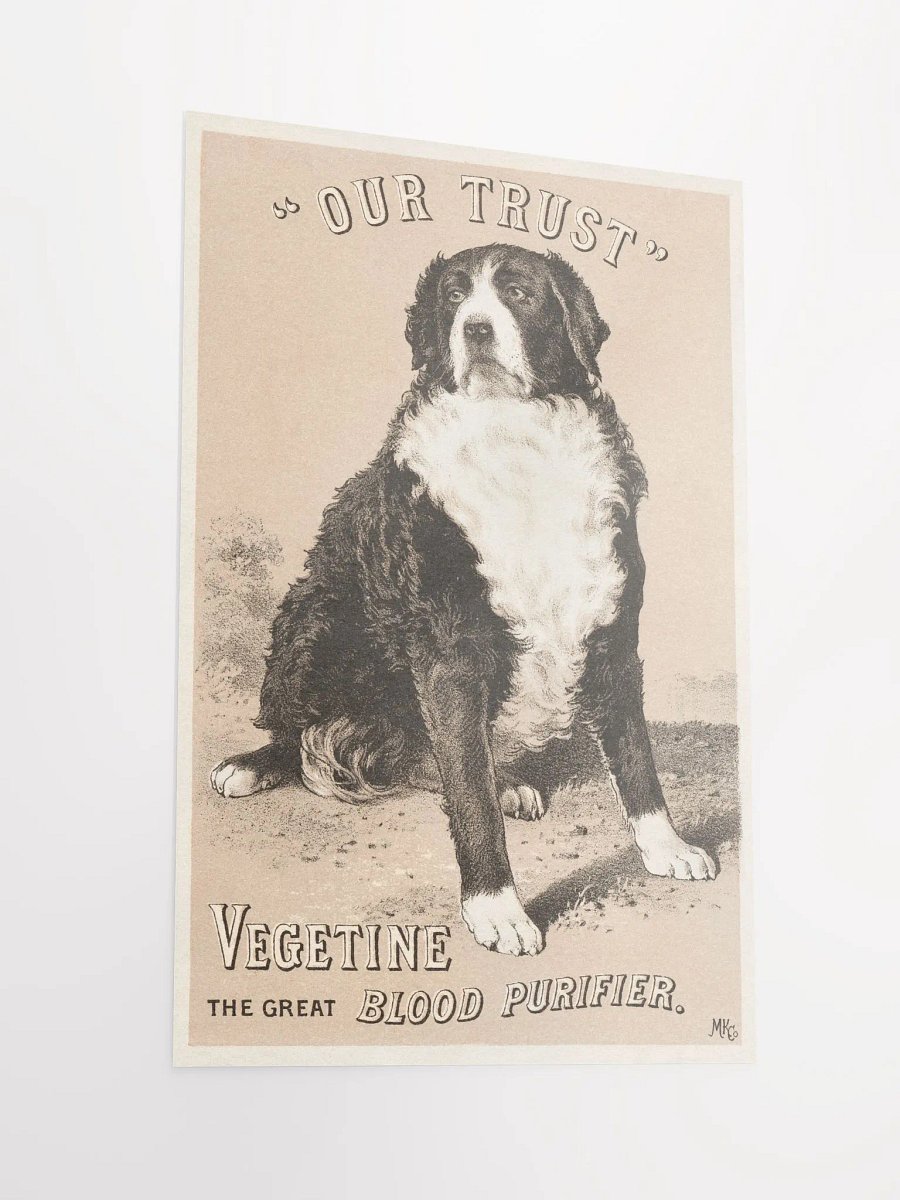 "Our trust" Vegetine, the great blood purifier product image (6)