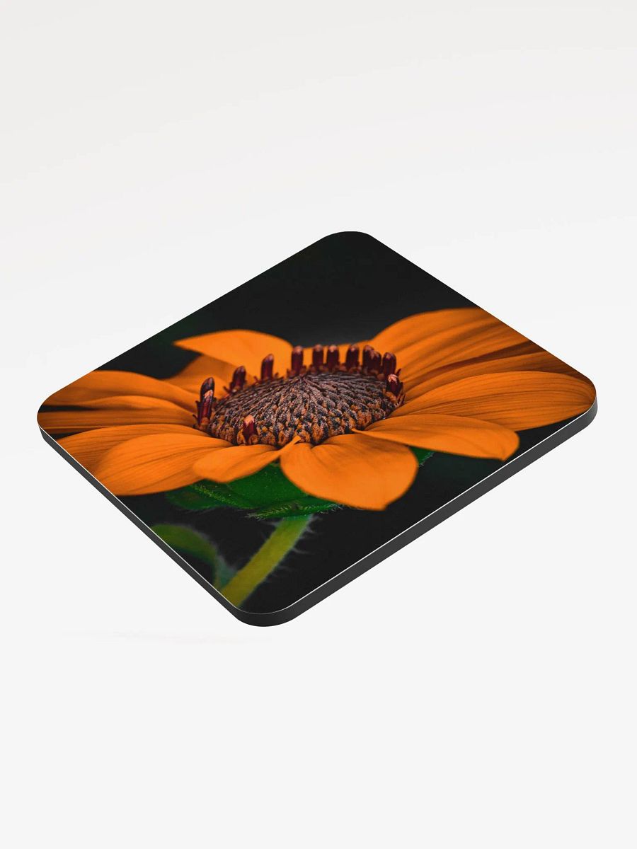 Orange You Glad Coaster product image (3)