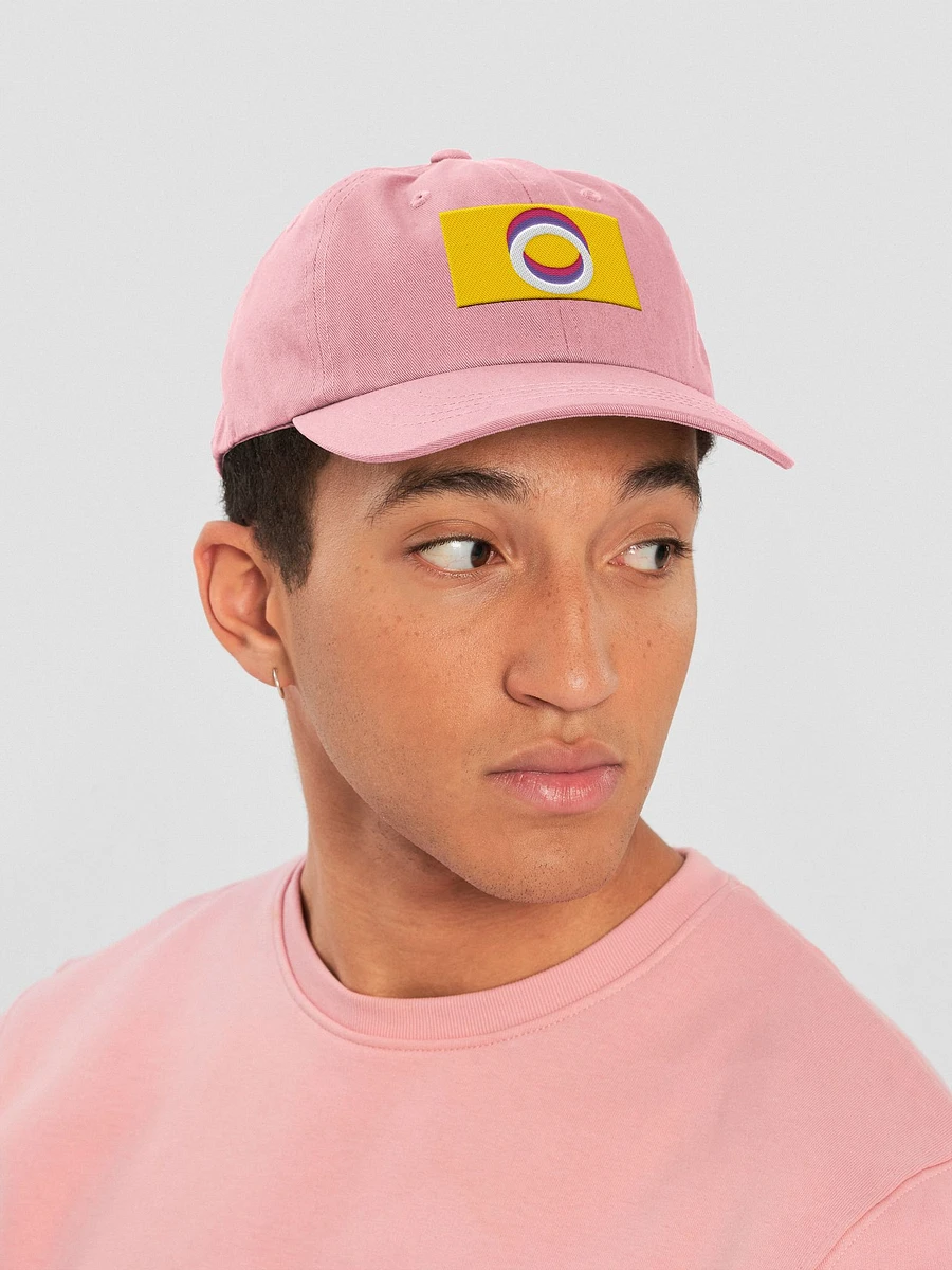 Nonpolar Nonbinary Pride Flag - Embroidered Hat product image (6)