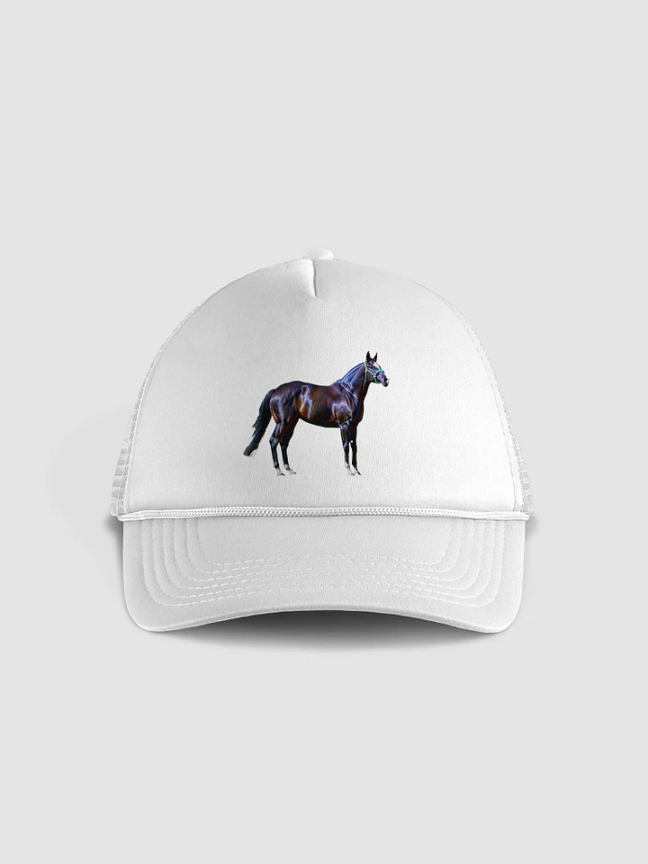 Timeless Trucker: The Horse Hat for the Modern Maverick product image (33)