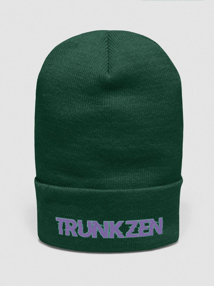 TrunkZen Beanie2 product image (7)