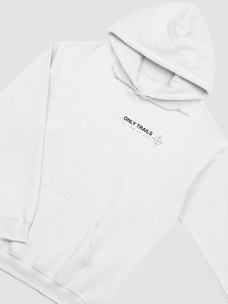 Backprint Coördinates - Hoodie (Blue Clue) product image (3)