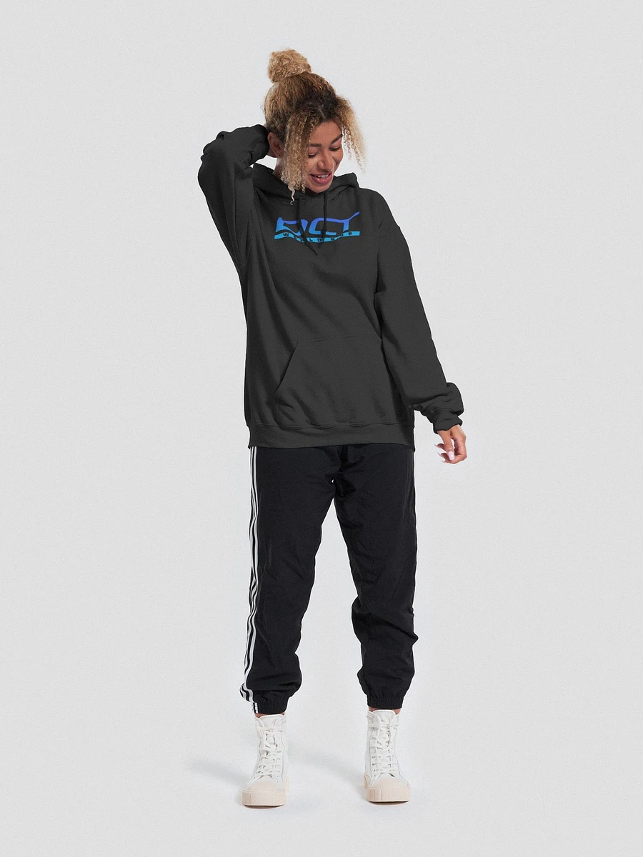 DCT World Cup Blue Hoodie product image (6)