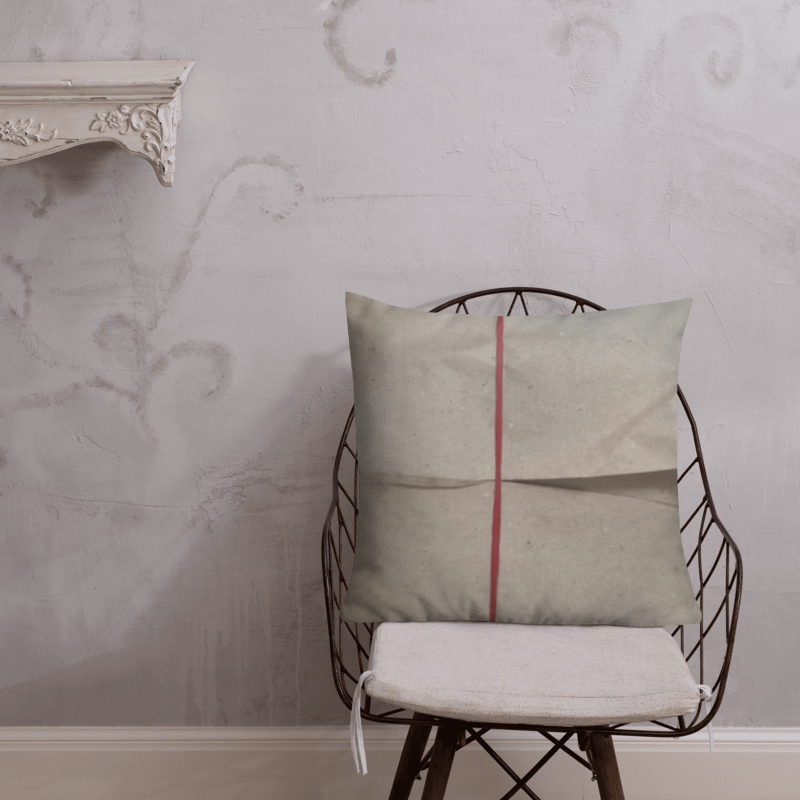Char Siew Rice Decorative Pillow product image (4)