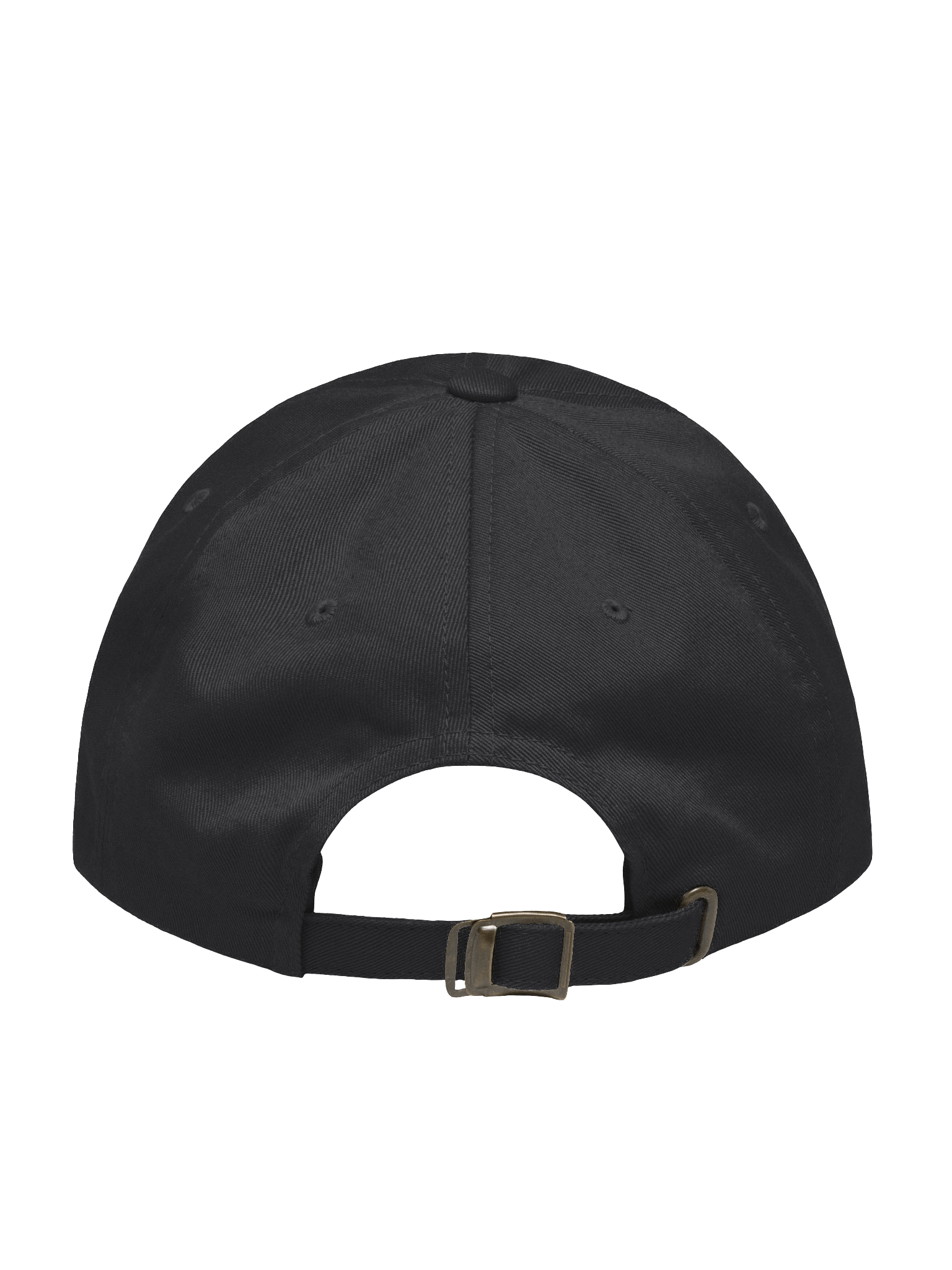 PAW STAMP DAD HAT product image (18)