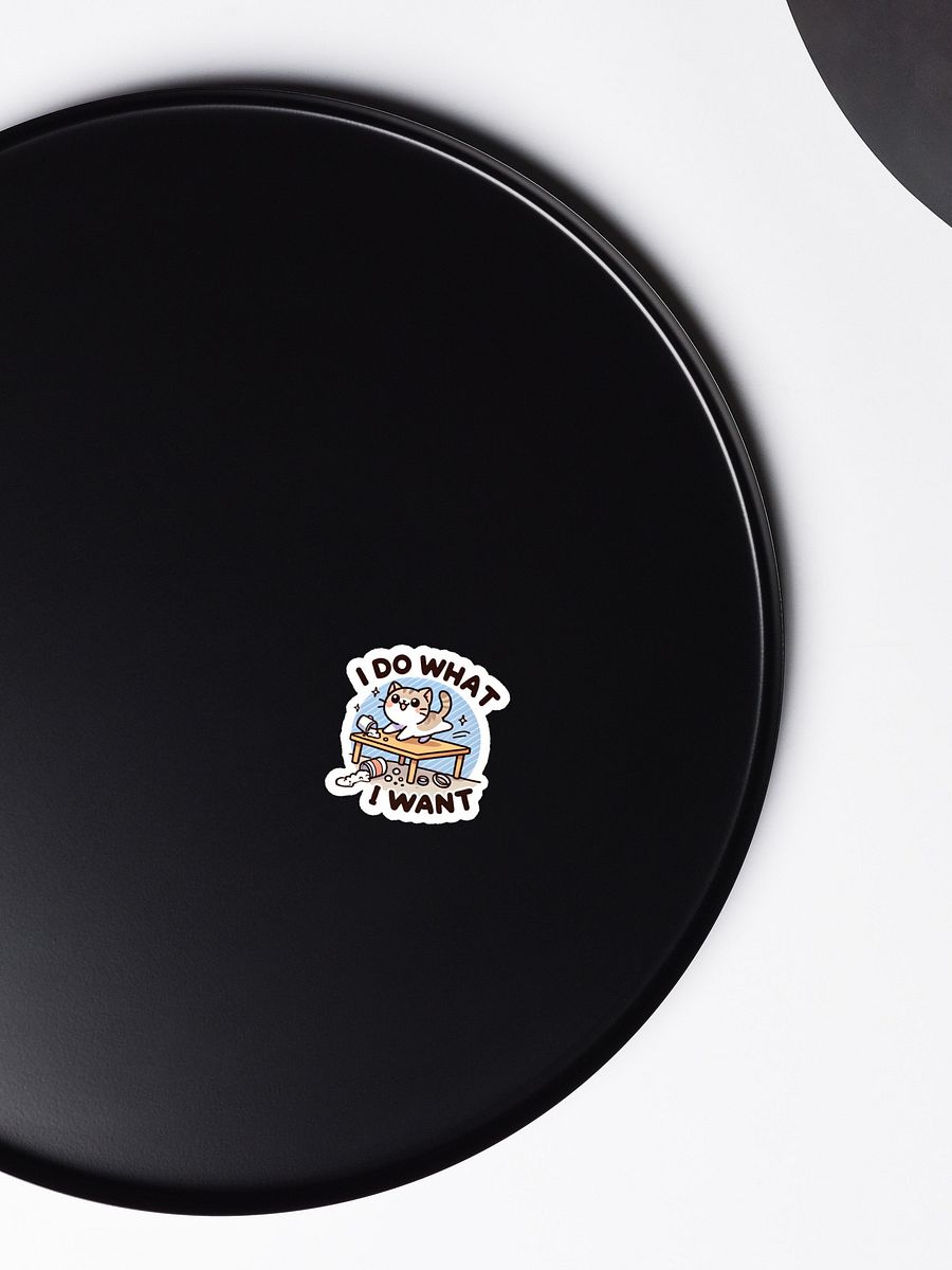 I do what I want magnet product image (6)