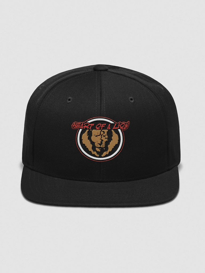HOAL Yupoong Wool Blend Snapback Cap product image (2)