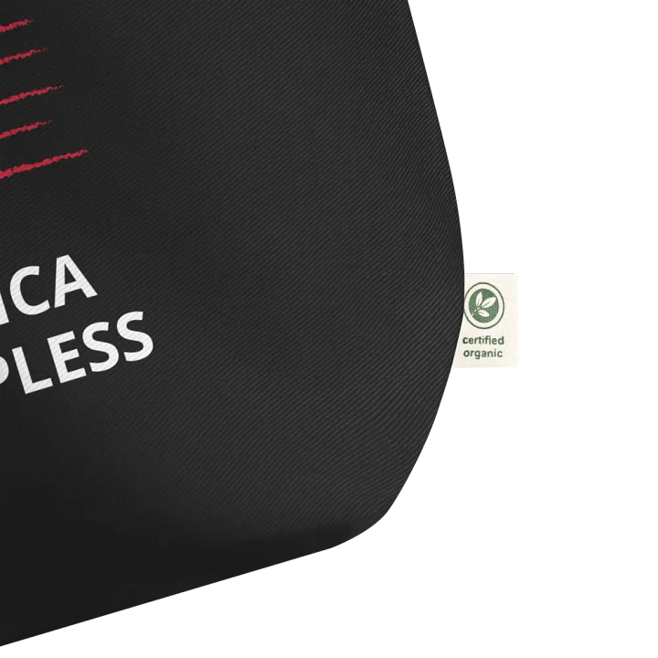 Pris-Keep America Trumpless -Econscious Organic Cotton Tote product image (2)
