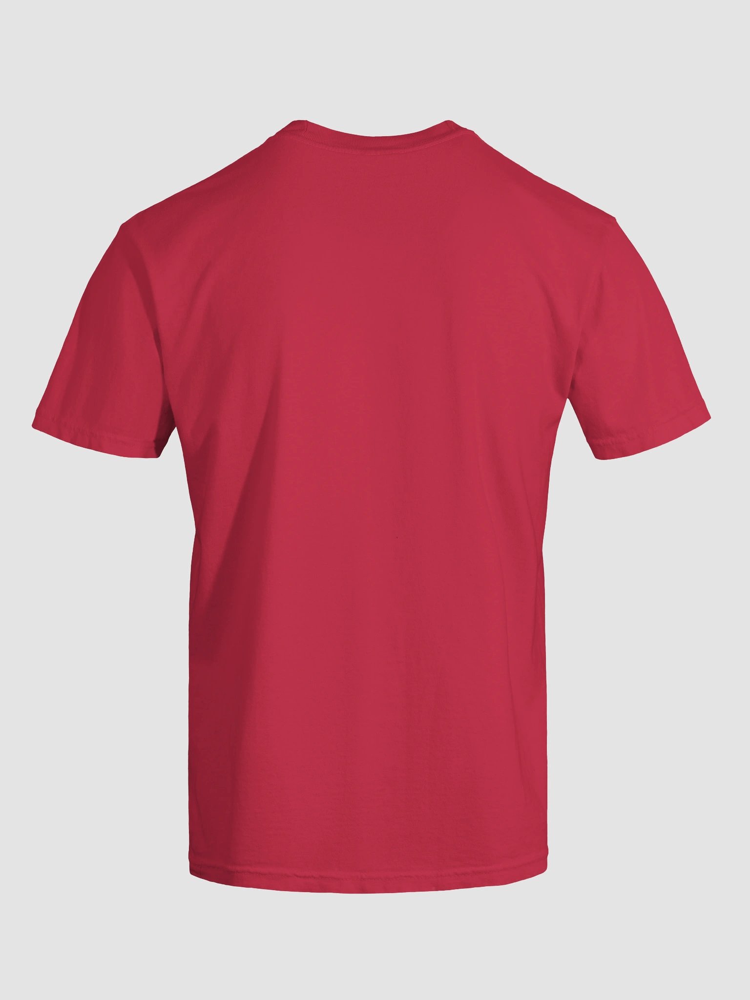 Mens Comfort Colors Heavyweight T-Shirt (On Fridays We Wear R.E.D. (Remember Everyone Deployed)) product image (6)
