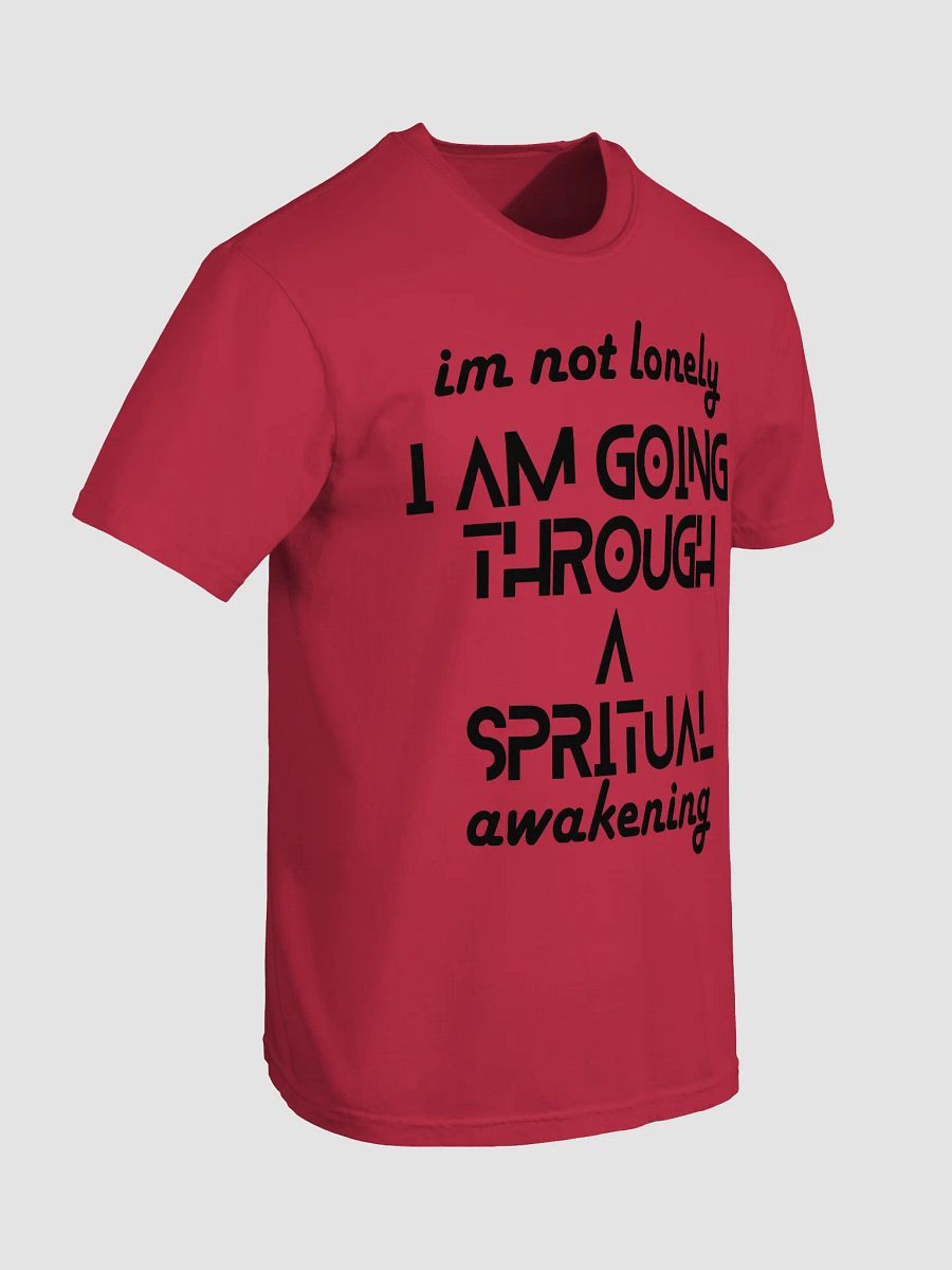 I'm Not Lonely I Am Going Through a Spiritual Awakening Tee – Spiritual Journey Shirt, Healing Vibes T-Shirt, Mindfulness Gift, Unisex Shirt for Men & Women, Holiday Present product image (49)