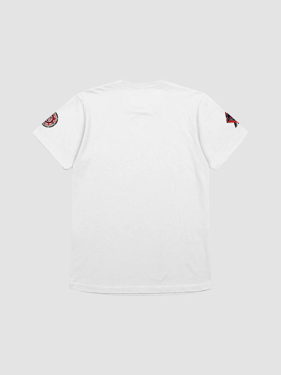 DATA ZOMBIES®™ Premium T-Shirt (Assorted Colors) product image (2)