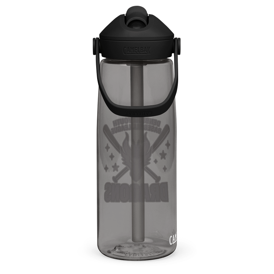 Dragons - Camelbak Waterbottle product image (4)