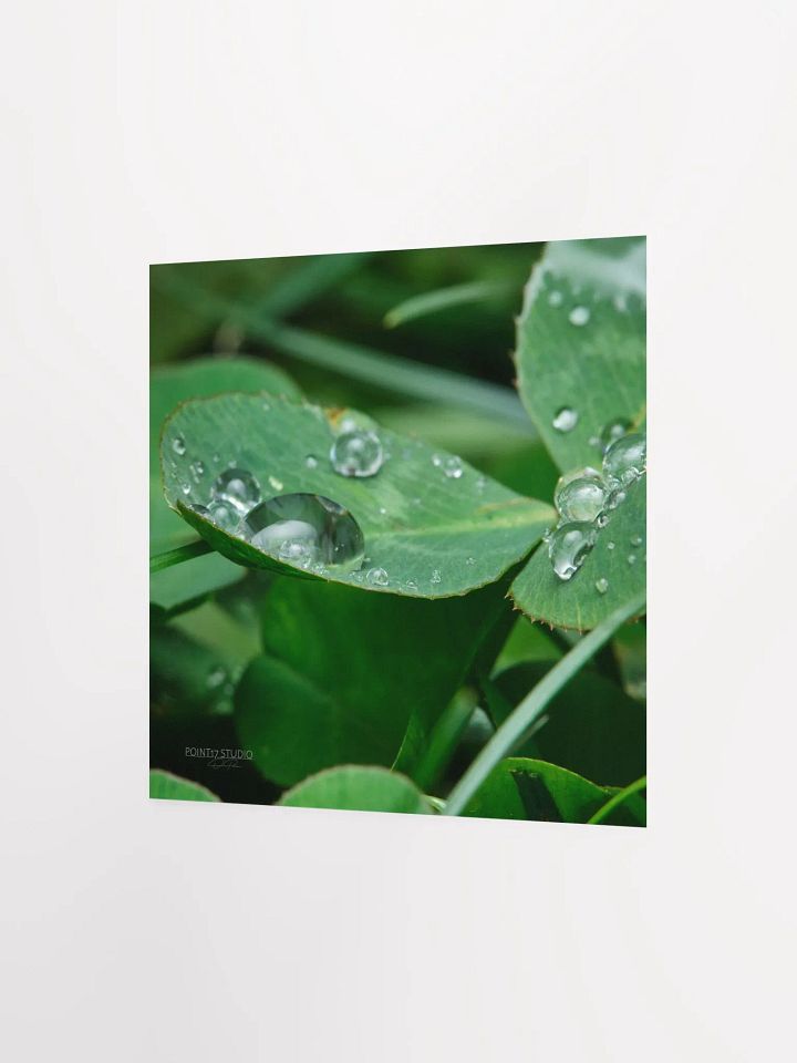 Dew Gems #8 - Print product image (5)