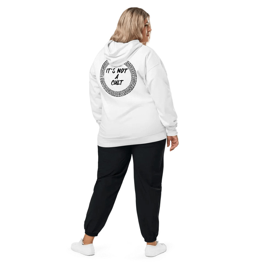 Not-Cult Embroidered Hoodie (LIGHT) product image (11)