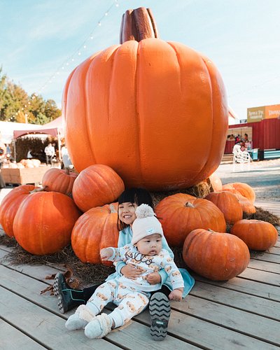 Our new favourite moment of the season 🥹🧡